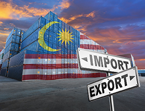 Import and Export Procedures in Malaysia – Best Practices - ASEAN ...