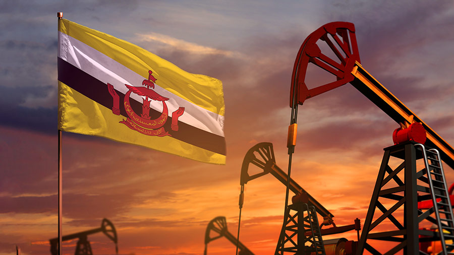 Moving Away From Oil How Can Brunei Diversify Its Economy   How Can Brunei Diversify Its Economy 